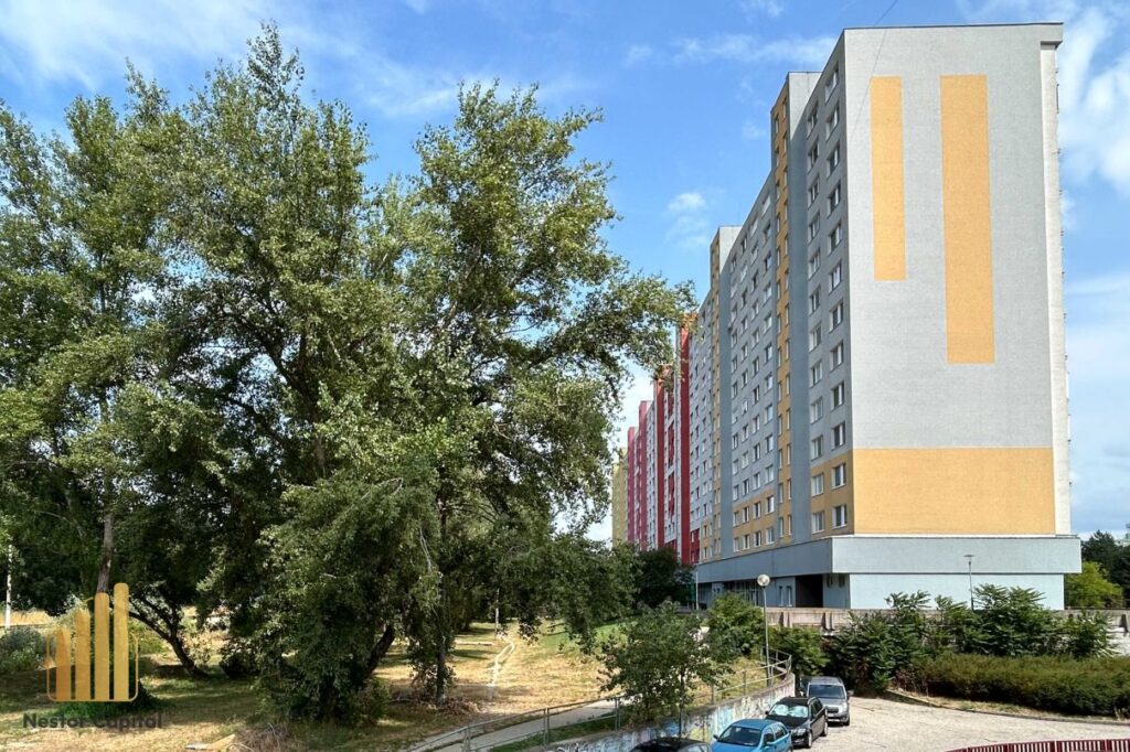 gayssova-35
