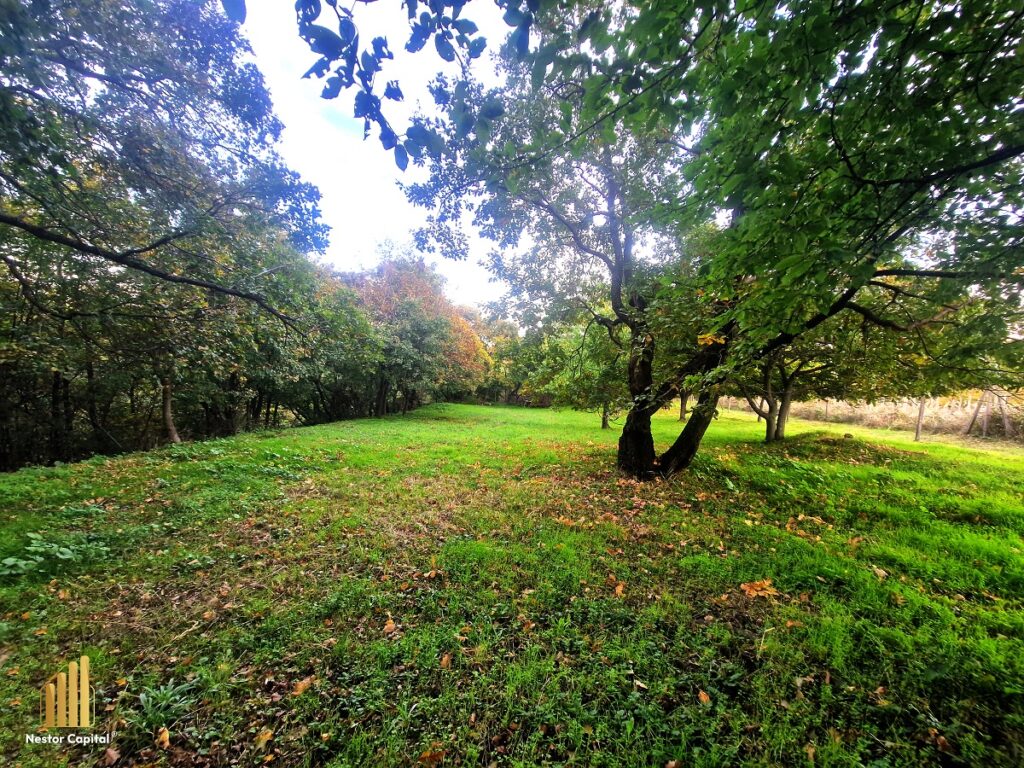 foto3